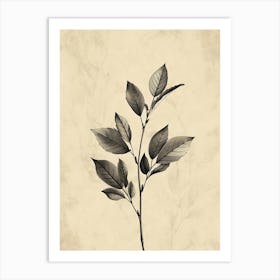 Copenhagen Flower Market Boho Minimalist Style Art Print