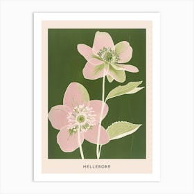 Pink & Green Hellebore 3 Flower Poster Art Print