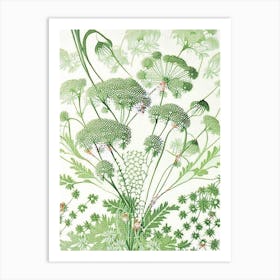 Queen Anne'S Lace 2 Flower Art Print