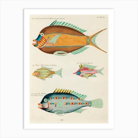 Colourful And Surreal Illustrations Of Fishes Found In Moluccas (Indonesia) And The East Indies, Louis Renard(40) Art Print