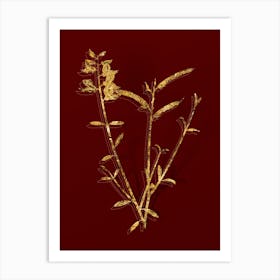 Vintage Spanish Broom Botanical in Gold on Red n.0361 Art Print