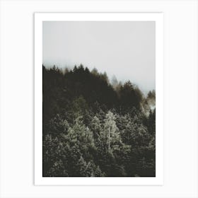 Moody Forest Trees Art Print