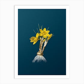 Vintage Crocus Luteus Botanical Art on Teal Blue n.0847 Art Print