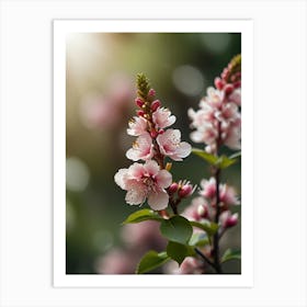 Blossoming Cherry Blossoms 2 Art Print