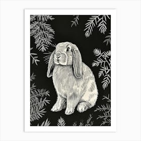 French Lop Rabbit Minimalist Illustration 1 Art Print