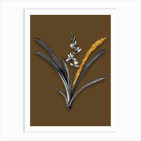 Vintage Boat Orchid Black and White Gold Leaf Floral Art on Coffee Brown n.0721 Art Print