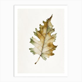 Oak Leaf Minimalist Watercolour Art Print