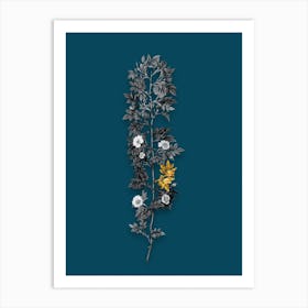 Vintage Cuspidate Rose Black and White Gold Leaf Floral Art on Teal Blue Art Print