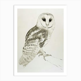 Spectacled Owl Drawing 1 Art Print