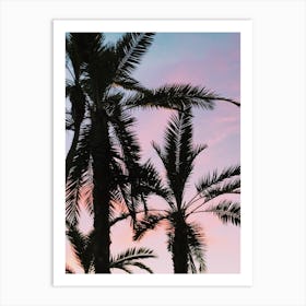 Palm Tree Silhouette Art Print