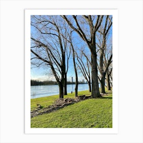 Rhine River Art Print