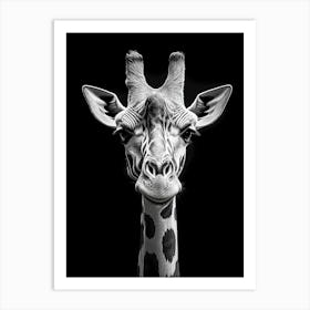 Portrait Of A Giraffe Art Print