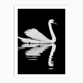 Swan Line Art Art Print