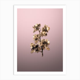 Gold Botanical Tansy Leaved Hawthorn Flower on Rose Quartz Art Print