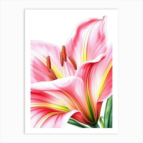 Pink Lily 3 Art Print