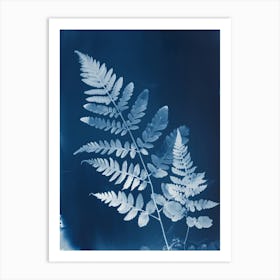 Fern II Art Print