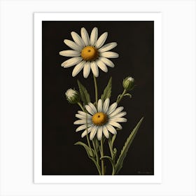 Daisies Art Print