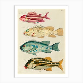 Colourful And Surreal Illustrations Of Fishes Found In Moluccas (Indonesia) And The East Indies, Louis Renard(20) Art Print