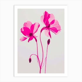 Hot Pink Cyclamen 1 Art Print