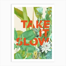 Take It Slow Art Print