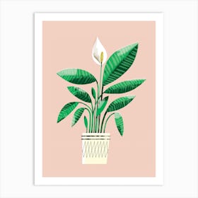 Portrait Of A Peace Lily On Peach Art Print