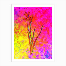 Gladiolus Cunonius Botanical in Acid Neon Pink Green and Blue n.0031 Art Print