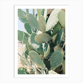 Cactus // Ibiza Nature & Travel Photography Art Print