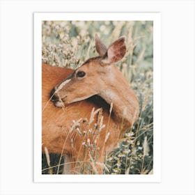 Rustic Deer Art Print