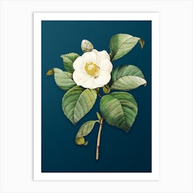 Vintage Japanese Camelia Botanical Art on Teal Blue n.0110 Art Print