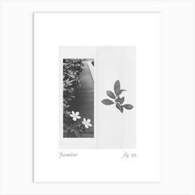 Jasmine Botanical Collage 2 Art Print