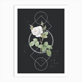 Vintage White Misty Rose Botanical with Geometric Line Motif and Dot Pattern n.0043 Art Print