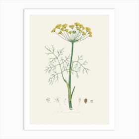 Vintage Botanical John Stephenson and James Morss Churchill Art Print_2731663 Art Print