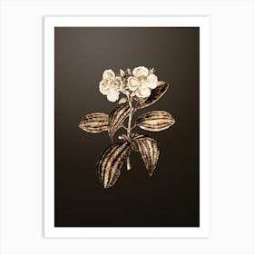 Gold Botanical Starry Osbeckia Flower on Chocolate Brown n.0523 Art Print