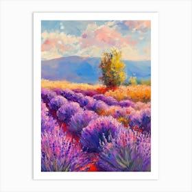 Lavender Field Art Print