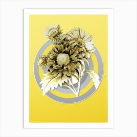 Botanical China Aster in Gray and Yellow Gradient n.200 Art Print