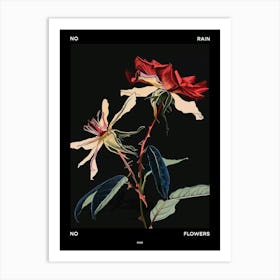 No Rain No Flowers Poster Rose 4 Art Print