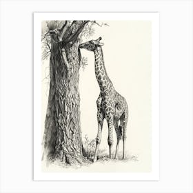 Giraffe Scratching Against A Tree Pencil Drawing 1 Art Print