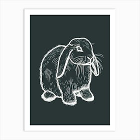 Mini Lop Rabbit Minimalist Illustration 3 Art Print