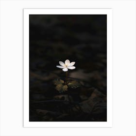 White Flower In The Dark 29 Art Print