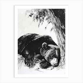 Malayan Sun Bear Laying Under A Tree Ink Illustration 3 Art Print