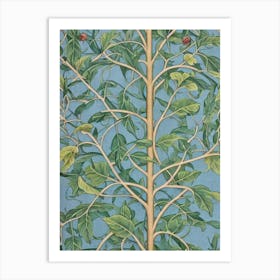 Quercus Rubra 2 tree Vintage Botanical Art Print