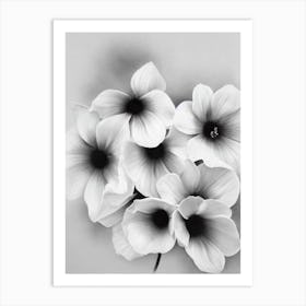 Violet B&W Pencil Flower Art Print