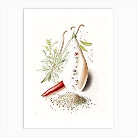 White Pepper Spices And Herbs Pencil Illustration 2 Art Print