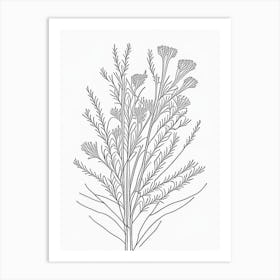 Ephedra Herb William Morris Inspired Line Drawing 2 Art Print