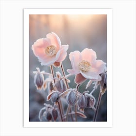 Frosty Botanical Christmas Rose 3 Art Print