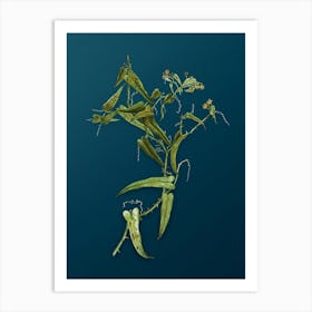 Vintage Rough Bindweed Botanical Art on Teal Blue n.0656 Art Print