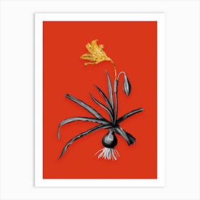 Vintage Amaryllis Broussonetii Black and White Gold Leaf Floral Art on Tomato Red n.0115 Art Print