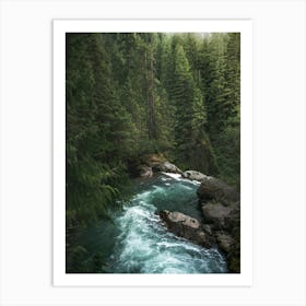 A Pacific Northwest Forest River Art Print