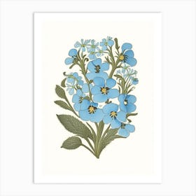 Forget Me Not Wildflower Vintage Botanical Art Print