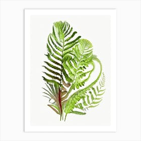 Ostrich Fern Wildflower Watercolour 1 Art Print